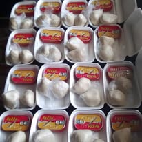 Food Program